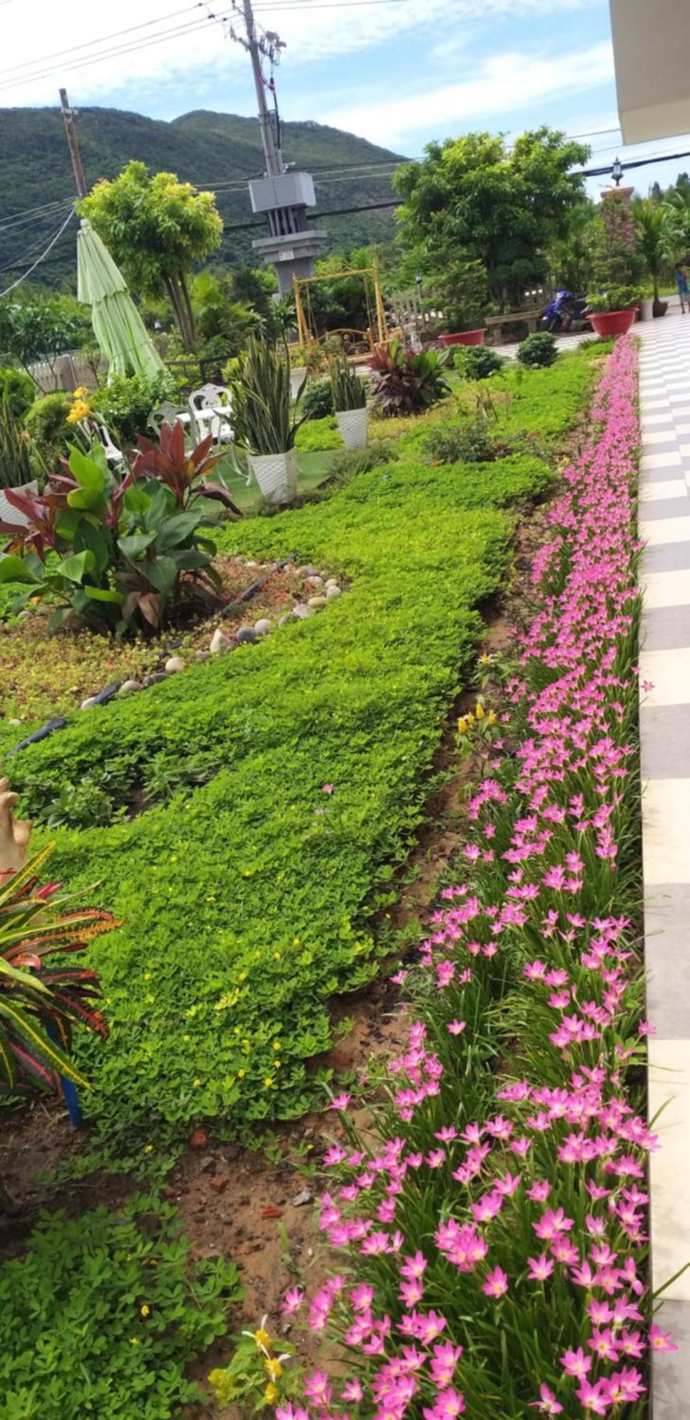 Garden House Côn đảo Chi Khu Co Ong